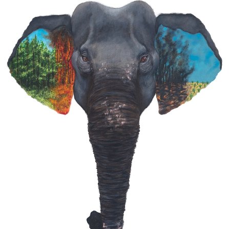 Endangered Series